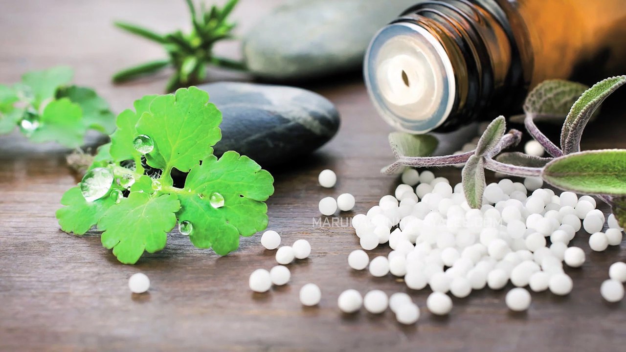 About homeo doctors and covid 19 treatment