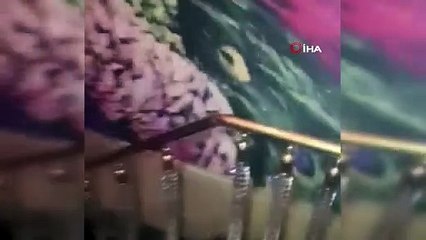 Konya’da koçbaşı ile girilen eğlence mekanındaki 74 kişiye ceza