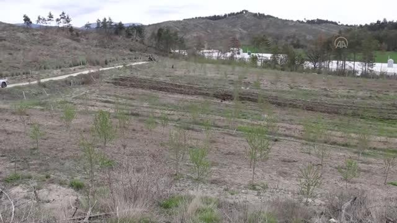 100 dönümlük arazi lavanta bahçesi olacak