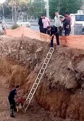 Son dakika haberleri | İNŞAAT ÇUKURUNA DÜŞEN KÖPEĞİ İTFAİYECİLER KURTARDI