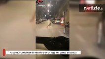 Ancona, carabinieri si imbattono in un lupo: l'inseguimento nel centro della città