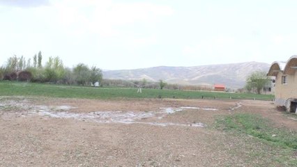 İran'da Kaşkay Türklerinin yüzyıllardır yetiştirdiği asil atları servet değerinde