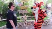 Meeting Tigger, Eeyore, And Winnie The Pooh At Disneyland