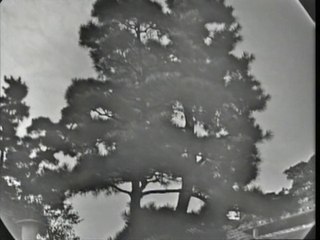 Broadcast on October 16, 1968 NHK special program "Around Yasunari Kawabata". Excerpt from NHK Archives broadcast on November 30, 2003.