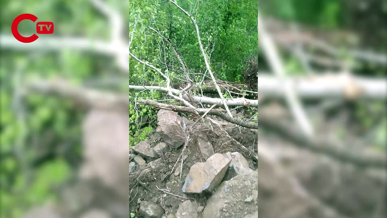 Rize İşkencedere'de direniş sürüyor: İş makineleri ağaçları kopardı