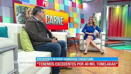 Bloque Ganadero ve injustificada la postura de comercializadores y afirma que la producción de carne en el país está garantizada