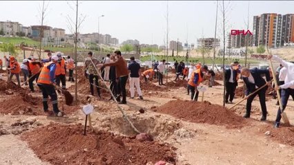 GGC, 'YEŞİL ŞEHİRLER HUZURLU NESİLLER' PROJESİ KAPSAMINDA AĞAÇ DİKTİ