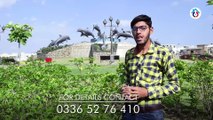 Bahria Town Phase 8 Rawalpindi ZEM Heights || One Bed Apartment for Rent | Advice Associates