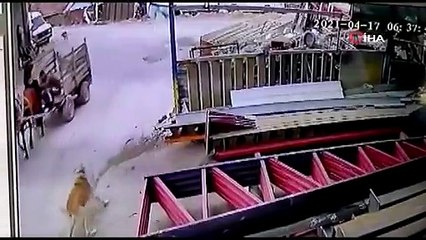 Her sabah hırsızlık yapan şahıslar komşuya yakalandı