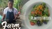 Farm To Table: Plantito Fritata recipe made from ornamental plant
