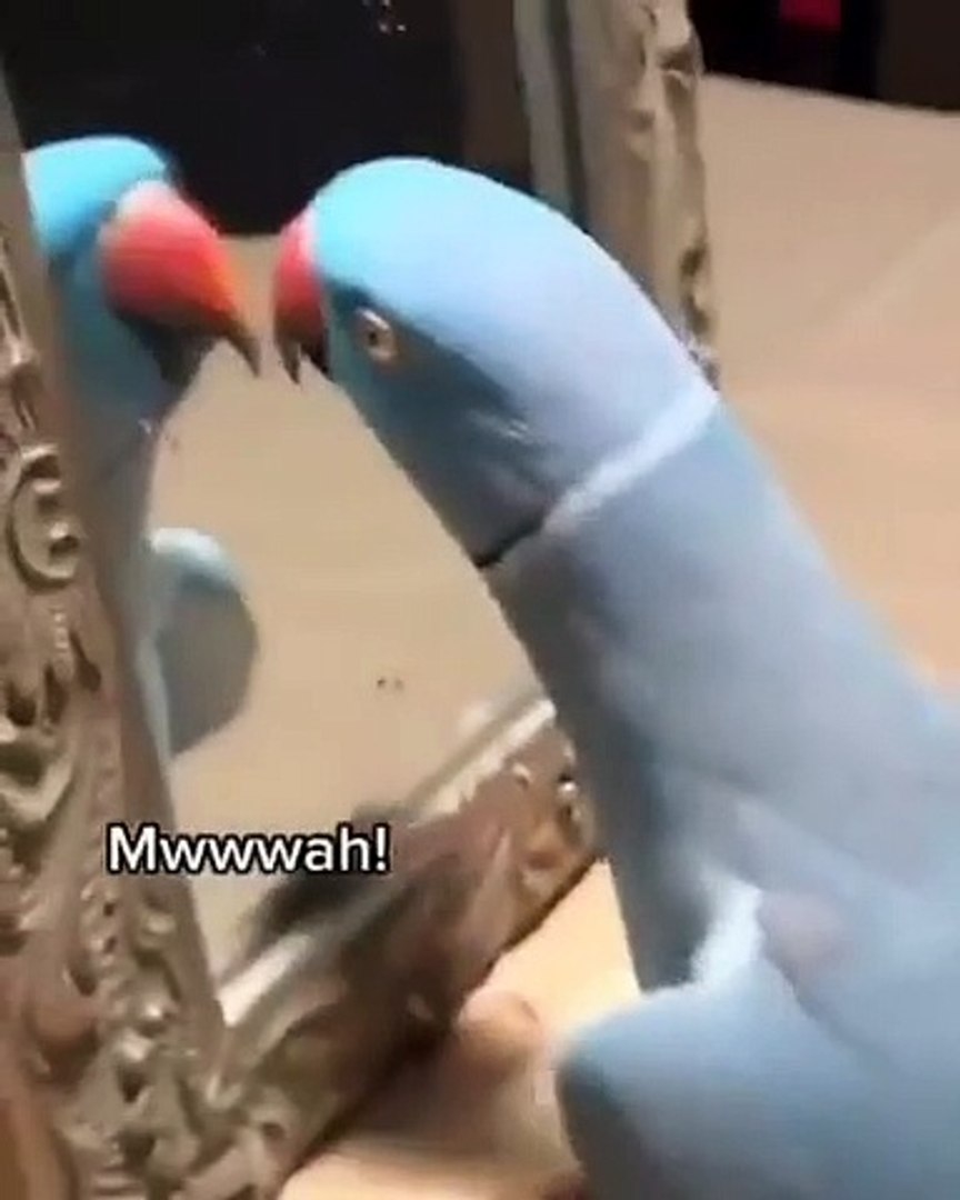 Best videos, Top videos, Viral videos Funny videos no. 178