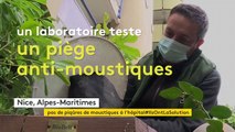 Un dispositif novateur de pièges à moustiques installé dans les jardins du CHU de Nice