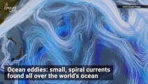 Spiraling Ocean Currents Are Getting Stronger, Could Impact Climate Change