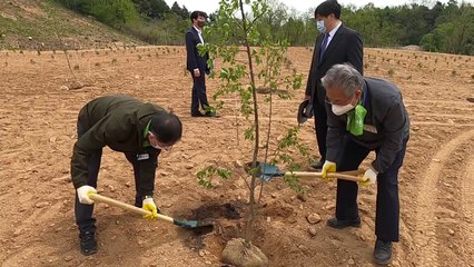 꽉 막힌 남북 관계...평화의 나무 심기로 물꼬 튼다 / YTN