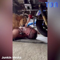 Son chien choisit un moment particulier pour faire un câlin !