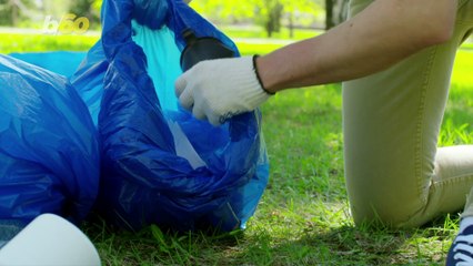 How Likely You Are To Recycle May Be Linked to Whether You Own a Cat or a Dog