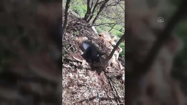 Pençe-Şimşek ve Pençe-Yıldırım operasyonlarında çok sayıda silah ve mühimmat ele geçirildi