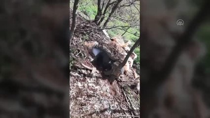 Pençe-Şimşek ve Pençe-Yıldırım operasyonlarında çok sayıda silah ve mühimmat ele geçirildi