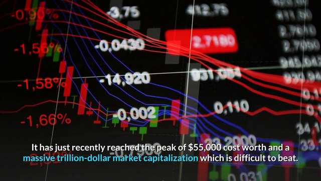 Crypto News - Which Cryptocurrency can Overtake Bitcoin? - Bitcoin News