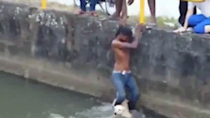 Malezyalı genç boğulmak üzere olan köpeği böyle kurtardı!
