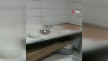 Fırını kurmarhaneye çevirmişler...Pandemide kumar oynamak için seçilen yöntem "yok artık" dedirtti