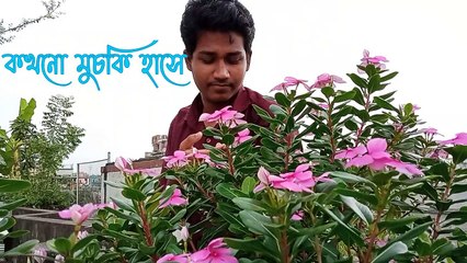 "খুব জানতে ইচ্ছে করে"।।আব্দুল মূঈদ।।"এক চিলতে কবিতা"-পর্বঃ৮।।গল্পাধার।।GOLPADHAR।।ভালোবাসার কবিতা