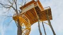 This Whimsical Tree House Airbnb in North Carolina Comes With 40 Acres of Private Land on