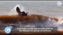 Com onda considerada perfeita, praia de São Mateus vira paixão de surfistas