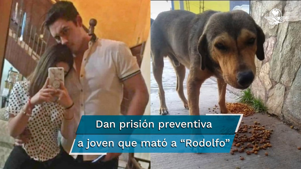 Procesan a joven que mató a perrito “Rodolfo" con un hacha en Los Mochis
