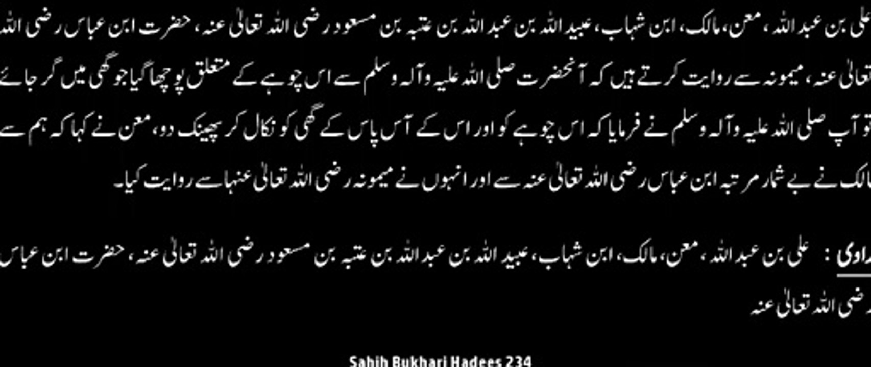 Watch *Hadith 234 Sahih Bukhari*