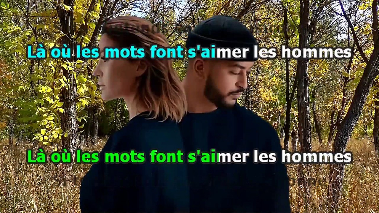KARAOKE Vitaa & Slimane Je te le donne Vidéo Dailymotion