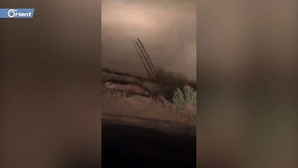 تمساح يثير الذعر أثناء تجوله ليلا في أحد الشوارع بالسعودية