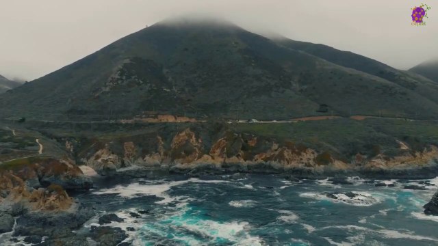 15 Minute Peaceful Music for Stress Relief | Anxiety Relief | Meditation | Calming | Soothing | Healing | Relaxing | Focus | Sleep | Study