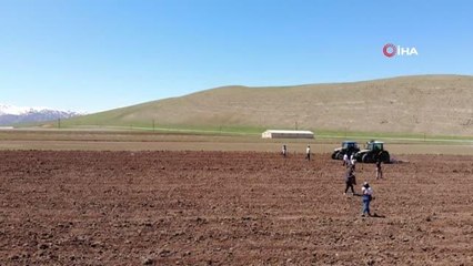 Yüksekova'da ekime kadın eli değdi
