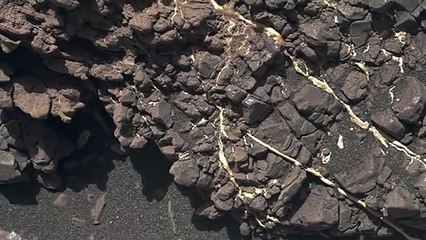 Mars - Sol 2452 Mars Hand Lens Imager (MAHLI)