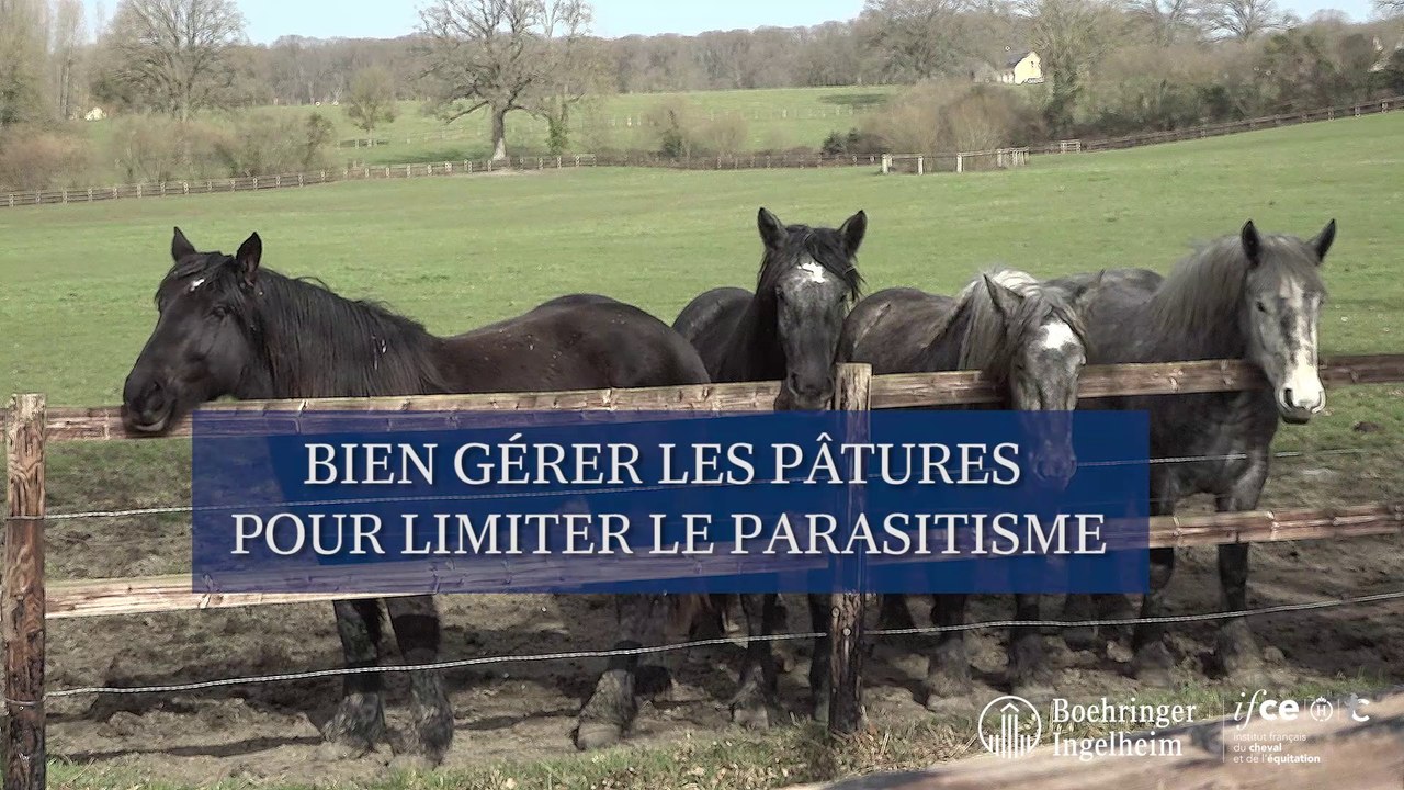 Bien gérer les pâtures pour limiter le parasitisme