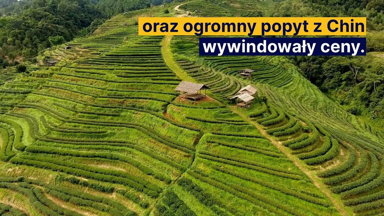 Zboże najdroższe od lat. Co z cenami chleba?