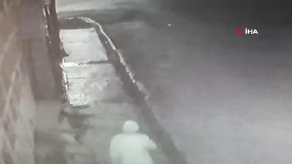 İş yerinin bahçesinden köpeği böyle çaldı