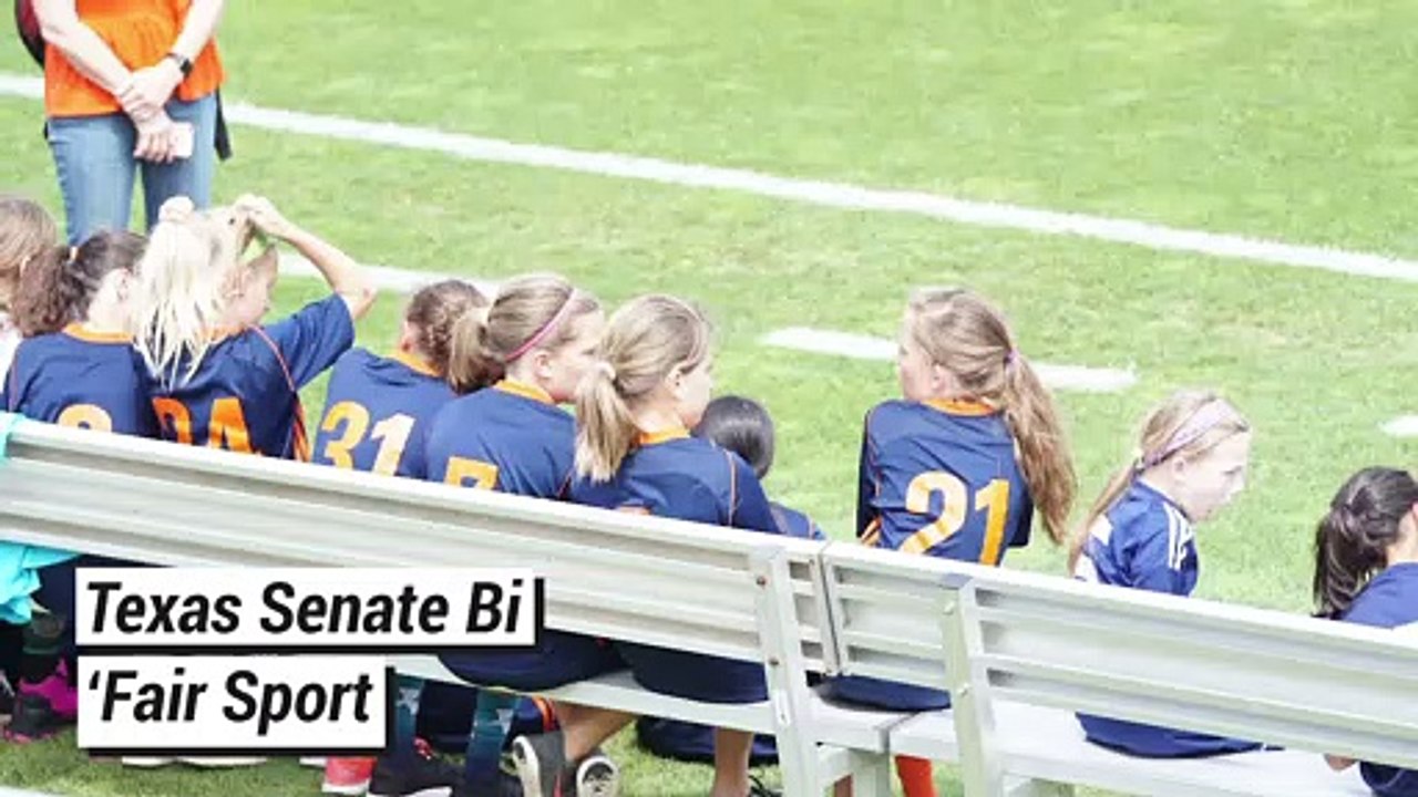 Gearbox Among Texas-Based Tech Companies Opposing Anti-Trans Law