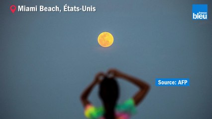 Les plus belles images de la Super Lune