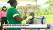 Ghana’s Inoculation Plan: Finding a solution to current impasse - AM Show on JoyNews (27-4-21)