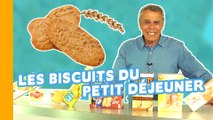 Les Biscuits du Petit Déjeuner (ou du goûter) sont-ils trop caloriques ?