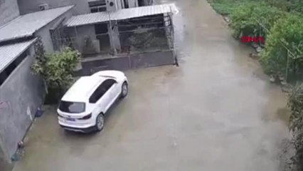 Son dakika! Çin'de bizonun küçük çocuğa saldırdığı anlar kamerada