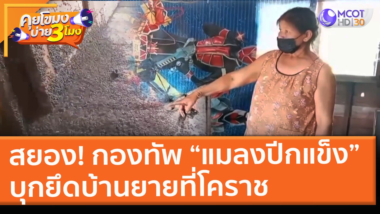 สยอง! กองทัพ “แมลงปีกแข็ง” บุกยึดบ้านยายวัย 88 ที่ "โคราช" (27 เม.ย. 64) คุยโขมงบ่าย 3 โมง