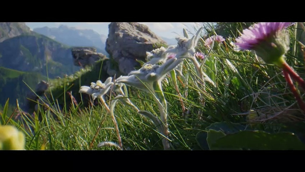 HEIMAT NATUR Film