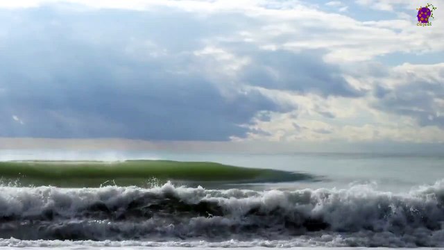 15 Minute Therapeutic Music | Relaxing | Calming | Soothing | Nice | Nature | Meditation | Healing | Study | Sleep | Positive Energy