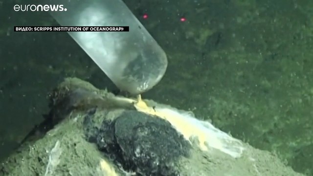 ДДТ на дне океана