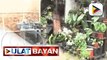Higit 600 residente sa Bunawan, Davao City, inilikas dahil sa baha