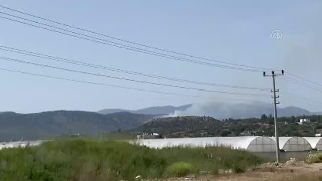 Son dakika... Antalya'da zeytinlik ve makilik alanda çıkan yangın kontrol altına alındı