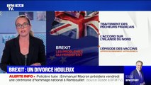 Brexit: un divorce houleux entre le Royaume-Uni et l'Union européenne